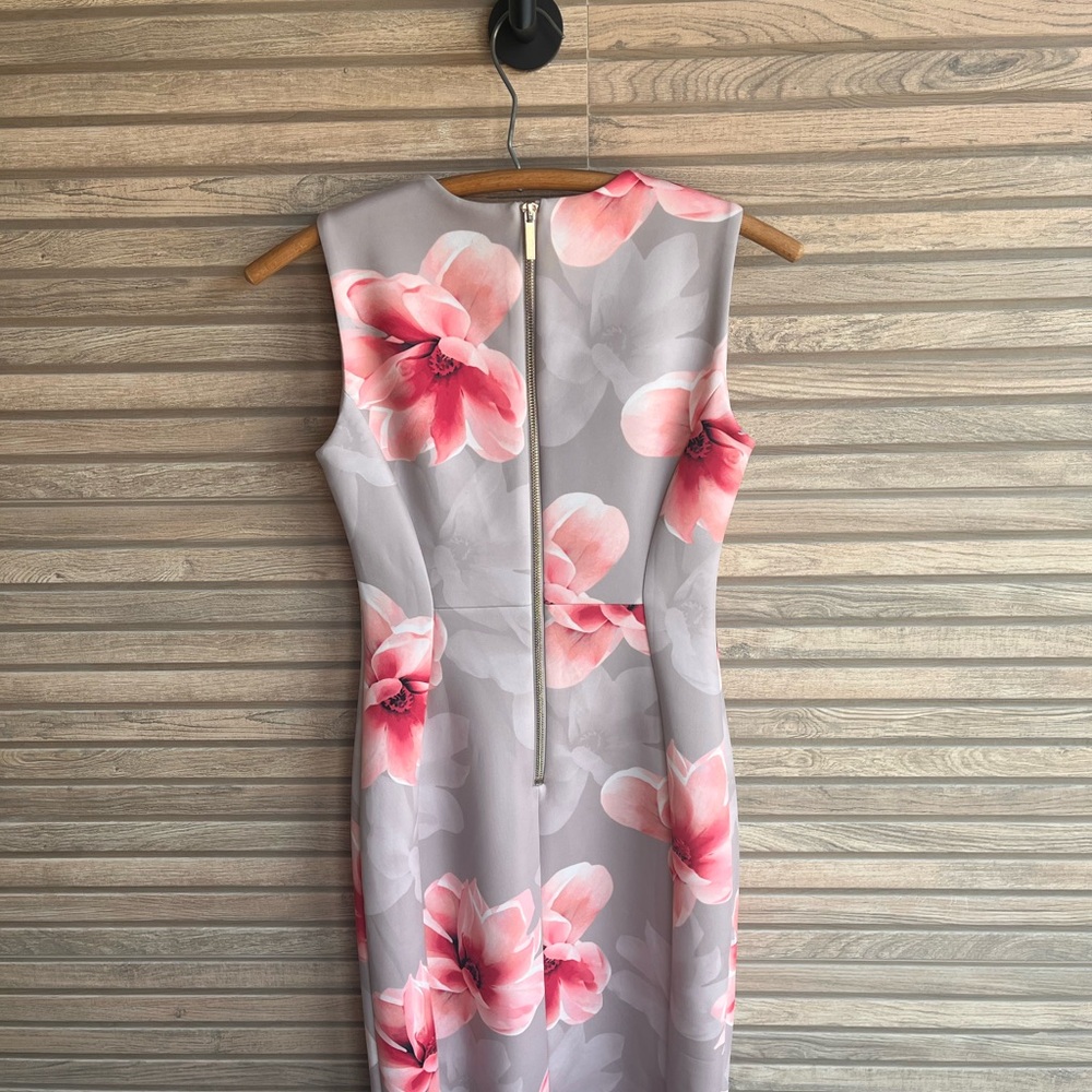 Calvin Klein Beige Pink Floral Print Sheath Dress - Size 2P Petite - Picture 2 of 4
